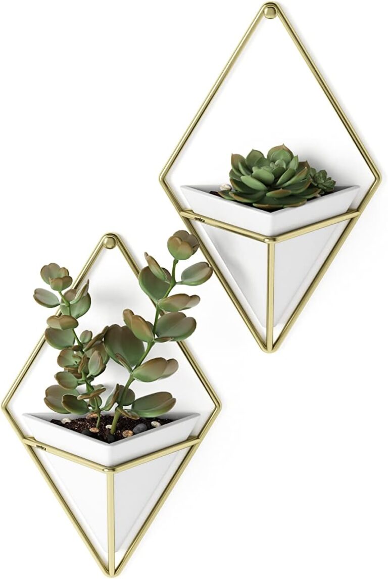Hanging Planter: 5 Ultimate Steps For Amazing Decor In 2026 16 61hgm6i3L2L. AC SL1500 Rental Friendly Decor