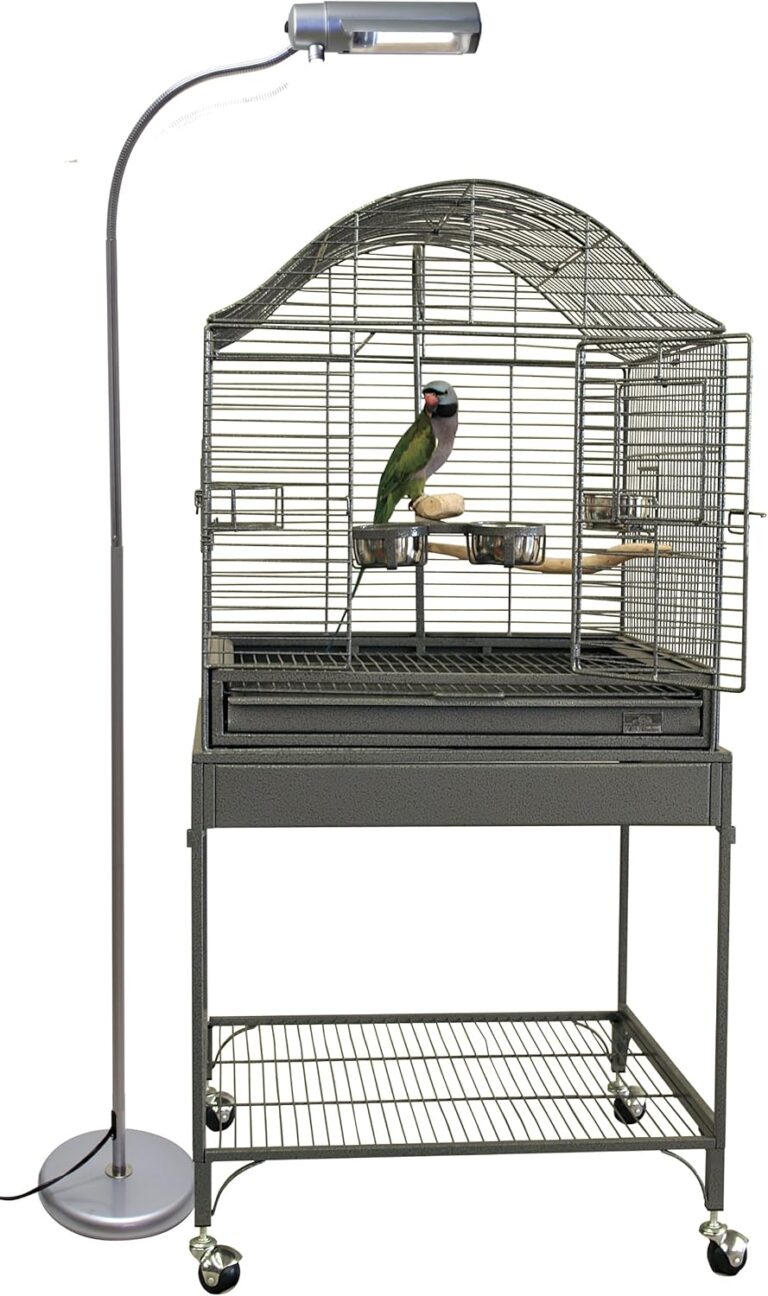 Avian Lamp: 7 Ultimate Secrets For Amazing Bird Care In 2026 22 81XsIY 2gFL. AC SL1500 Rental Friendly Decor