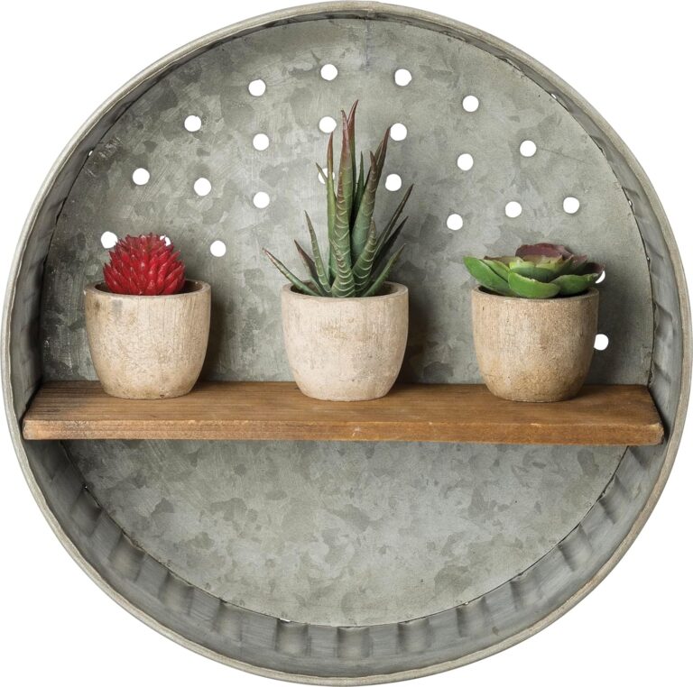 Rustic Shelf: 7 Ultimate Secrets For An Amazing Wall Display 22 91SI10v MoL. AC SL1500 Rental Friendly Decor
